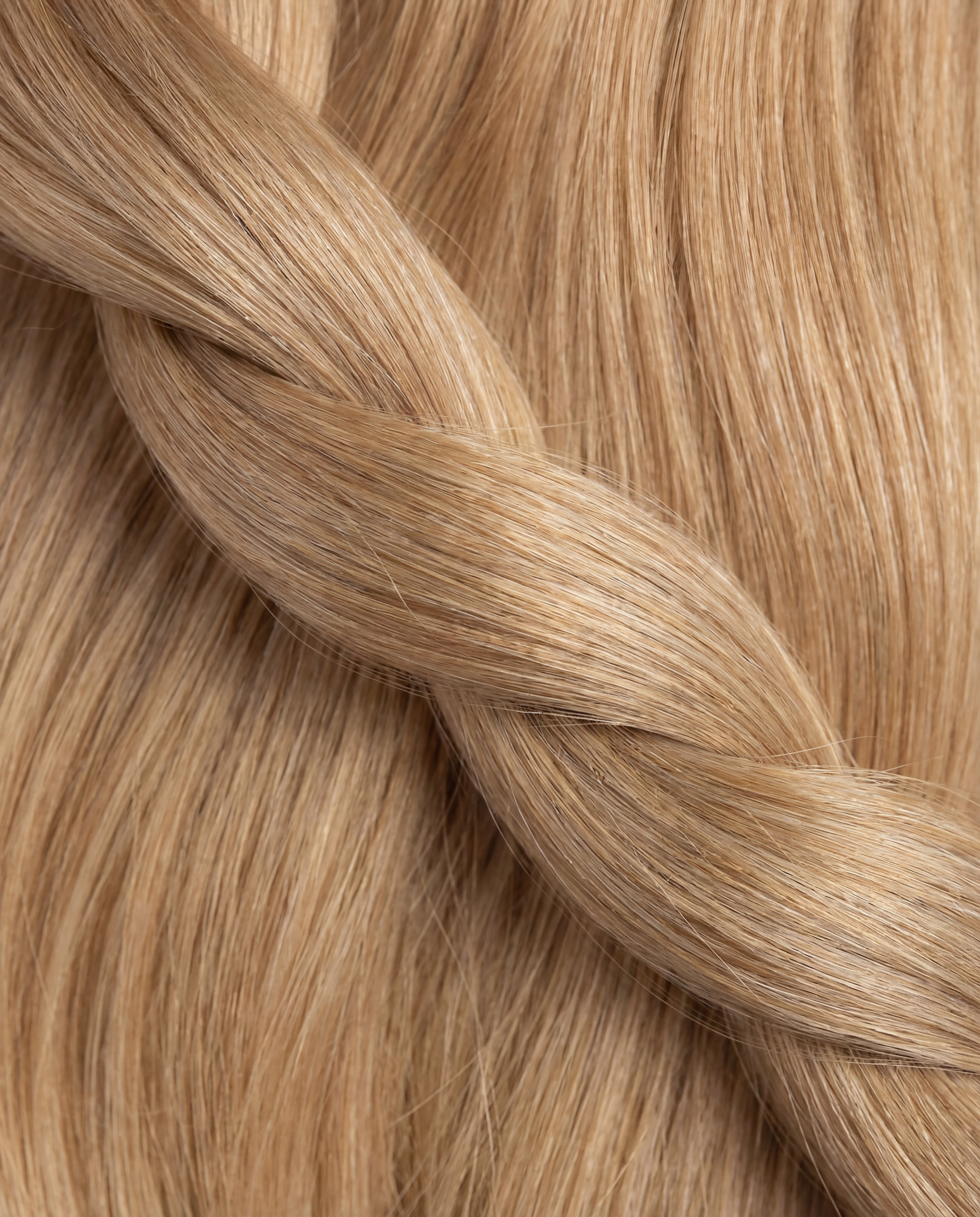 YMS Signature Weft Collection